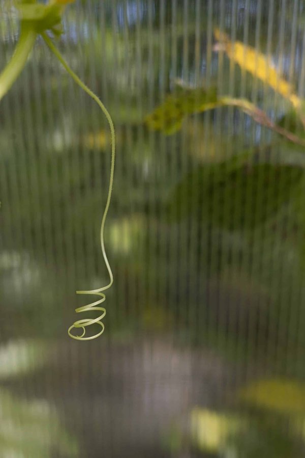 How Can the UK's Coastal Towns Adapt to Rising Sea Levels and Coastal Erosion?