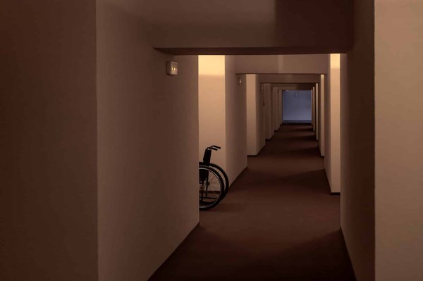 What Roles Do Urban Wildlife Corridors Play in Improving Ecological Public Health?